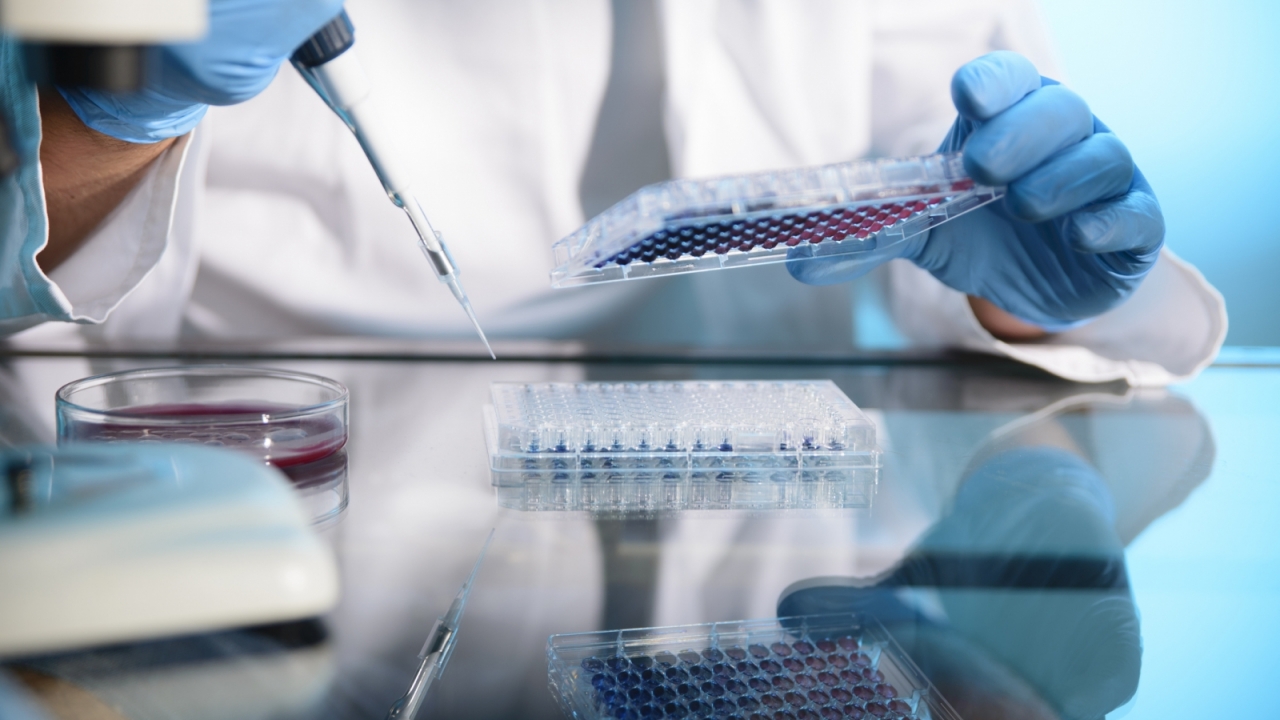 Disability Inclusion in Precision Medicine Research: A First National ...