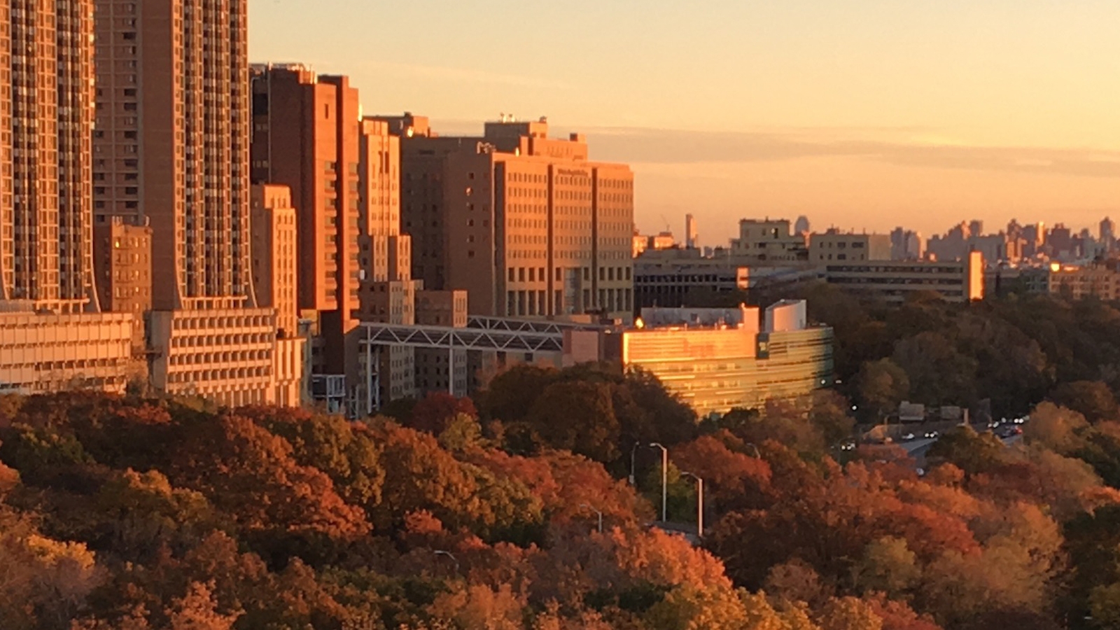 About Us Columbia University Department of Psychiatry
