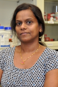 Jaya Prabhakaran, PhD Profile Headshot