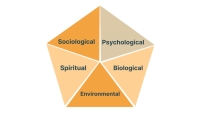 A pentagon split into 5 equal parts labeled as: Biological, Environmental, Psychological Sociological, and Spiritual