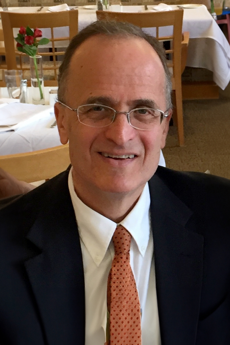 Dr. David J Hellerstein